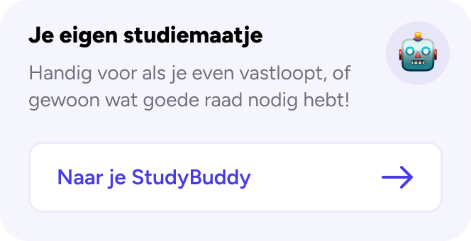 Visualisatie van de app: Je eigen studybuddy